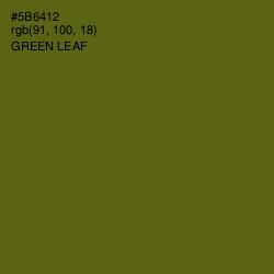 #5B6412 - Green Leaf Color Image