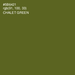 #5B6421 - Chalet Green Color Image