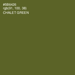 #5B6426 - Chalet Green Color Image