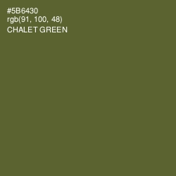 #5B6430 - Chalet Green Color Image