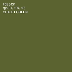 #5B6431 - Chalet Green Color Image