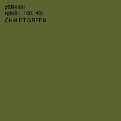 #5B6431 - Chalet Green Color Image