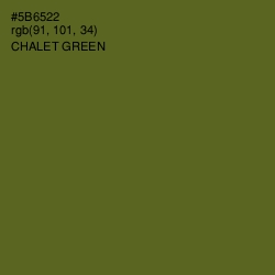 #5B6522 - Chalet Green Color Image