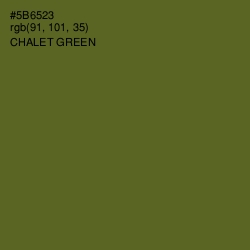 #5B6523 - Chalet Green Color Image