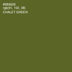#5B6626 - Chalet Green Color Image
