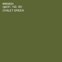 #5B6634 - Chalet Green Color Image