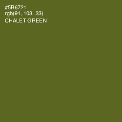 #5B6721 - Chalet Green Color Image