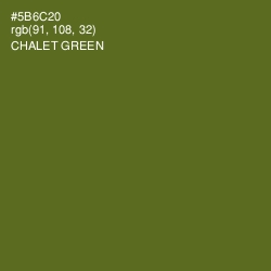 #5B6C20 - Chalet Green Color Image