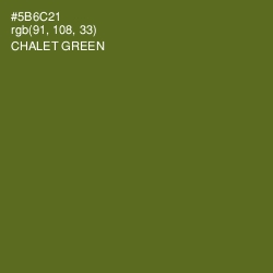 #5B6C21 - Chalet Green Color Image