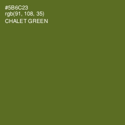 #5B6C23 - Chalet Green Color Image