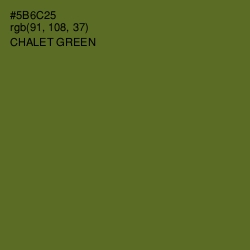 #5B6C25 - Chalet Green Color Image