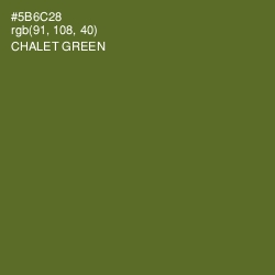 #5B6C28 - Chalet Green Color Image