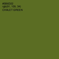 #5B6D22 - Chalet Green Color Image