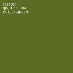 #5B6D24 - Chalet Green Color Image