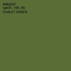 #5B6D37 - Chalet Green Color Image