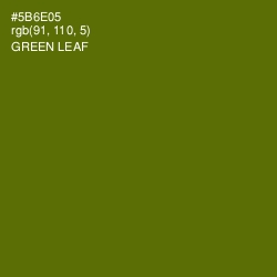 #5B6E05 - Green Leaf Color Image