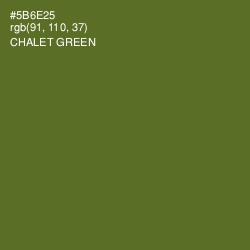 #5B6E25 - Chalet Green Color Image