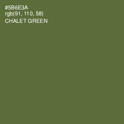 #5B6E3A - Chalet Green Color Image
