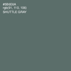 #5B6E6A - Shuttle Gray Color Image