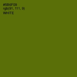 #5B6F09 - Green Leaf Color Image