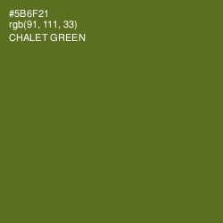 #5B6F21 - Chalet Green Color Image