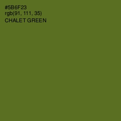 #5B6F23 - Chalet Green Color Image