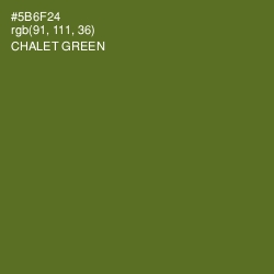 #5B6F24 - Chalet Green Color Image