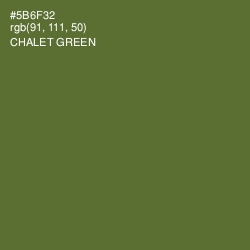 #5B6F32 - Chalet Green Color Image