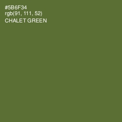 #5B6F34 - Chalet Green Color Image