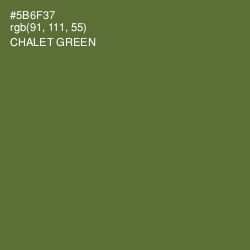 #5B6F37 - Chalet Green Color Image