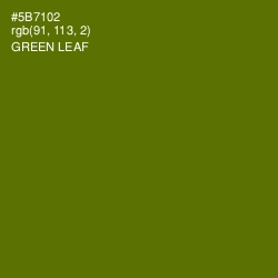 #5B7102 - Green Leaf Color Image