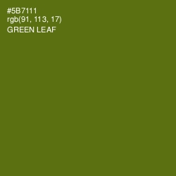 #5B7111 - Green Leaf Color Image