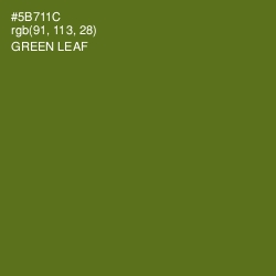 #5B711C - Green Leaf Color Image