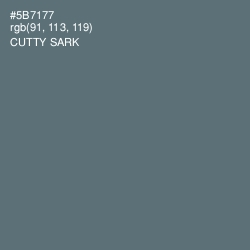 #5B7177 - Cutty Sark Color Image