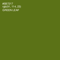 #5B7217 - Green Leaf Color Image