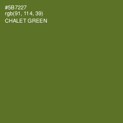 #5B7227 - Chalet Green Color Image