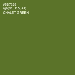 #5B7329 - Chalet Green Color Image