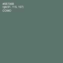 #5B736B - Como Color Image