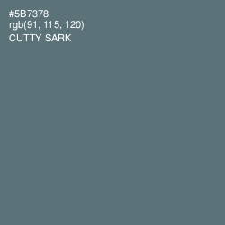 #5B7378 - Cutty Sark Color Image