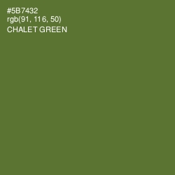 #5B7432 - Chalet Green Color Image