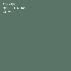 #5B7468 - Como Color Image