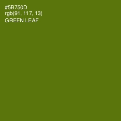 #5B750D - Green Leaf Color Image