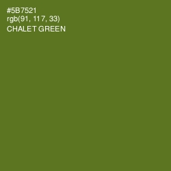 #5B7521 - Chalet Green Color Image