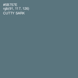 #5B757E - Cutty Sark Color Image
