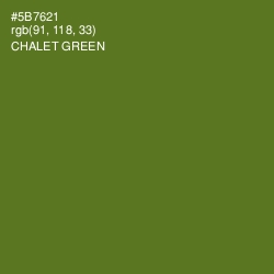 #5B7621 - Chalet Green Color Image