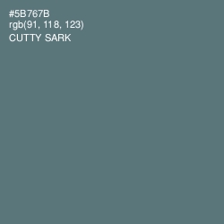 #5B767B - Cutty Sark Color Image