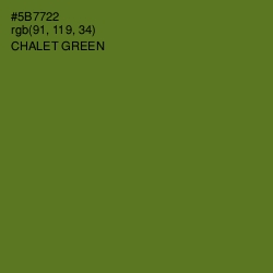 #5B7722 - Chalet Green Color Image