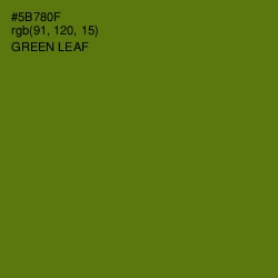 #5B780F - Green Leaf Color Image