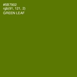 #5B7902 - Green Leaf Color Image
