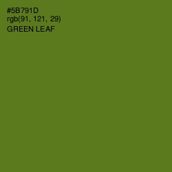 #5B791D - Green Leaf Color Image